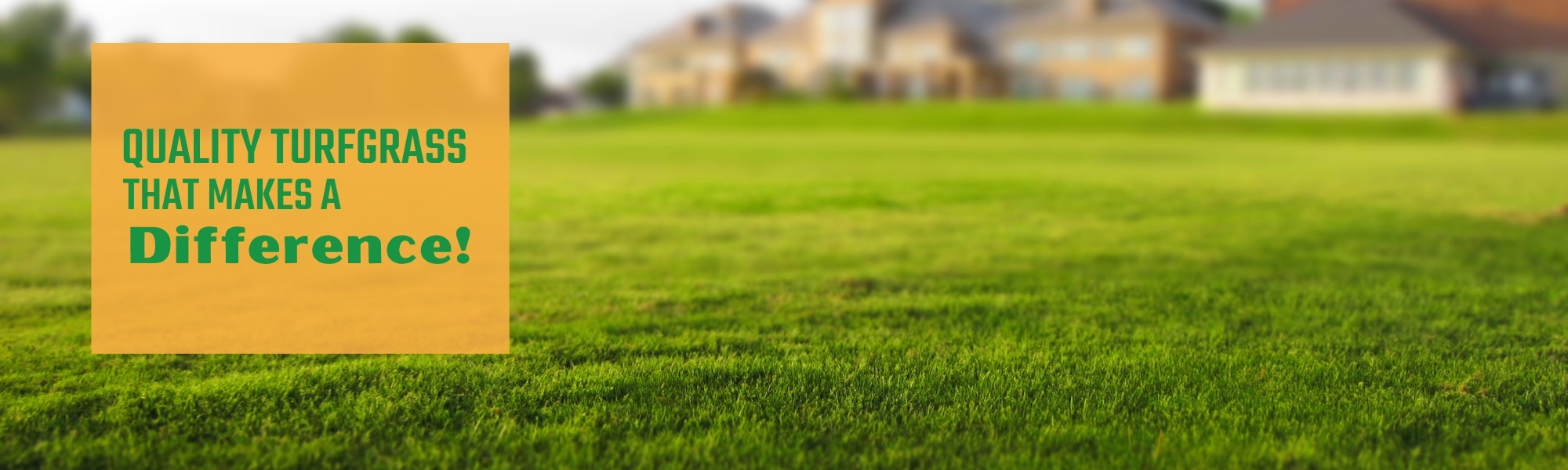 beautiful green lawn - quality Turfgrass that makes a difference 